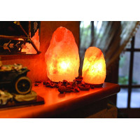 PINK Elettric Lamp Natural Himalayan salt 10-12kg