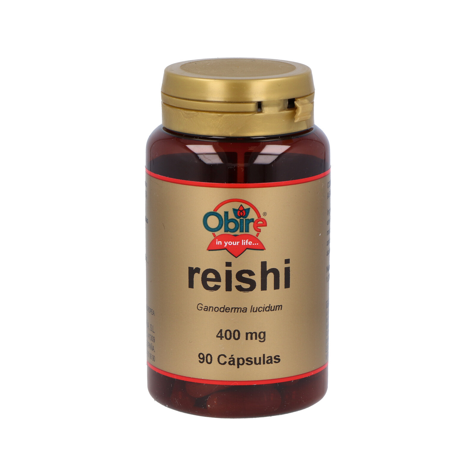 Reishi – Benefici e proprietà del Reishi Ganoderma Lucidum