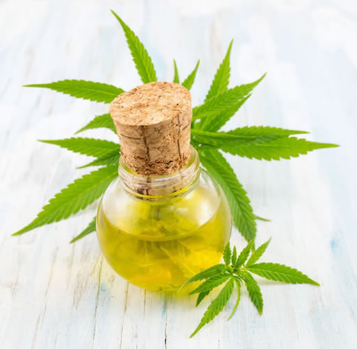 cannabis canapa marijuana rimedio dolore naturale